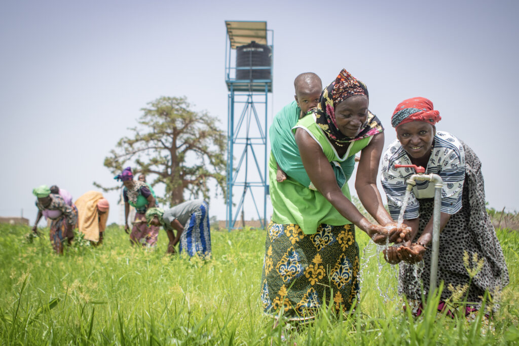 Solar water pumping for a women cooperative in Mali